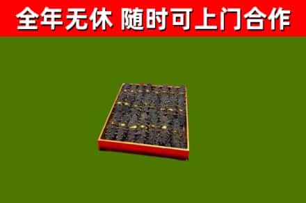 湟中回收海参